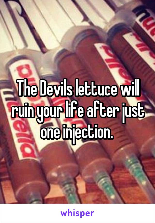 The Devils lettuce will ruin your life after just one injection. 