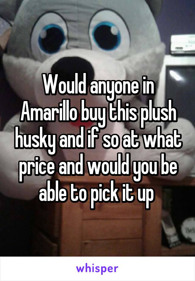 Would anyone in Amarillo buy this plush husky and if so at what price and would you be able to pick it up 