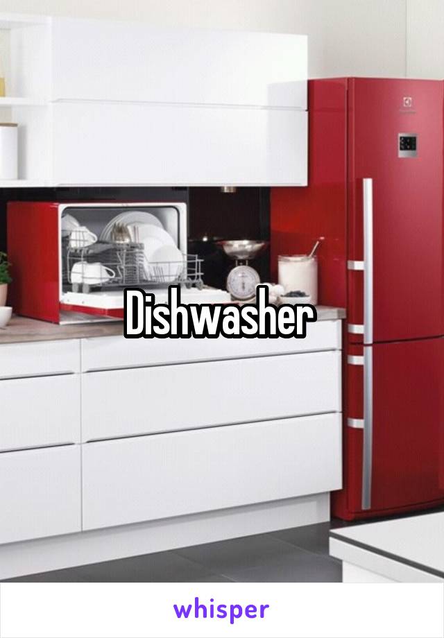 Dishwasher 