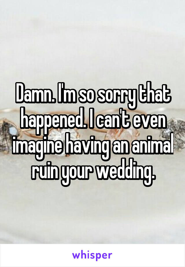 Damn. I'm so sorry that happened. I can't even imagine having an animal ruin your wedding.