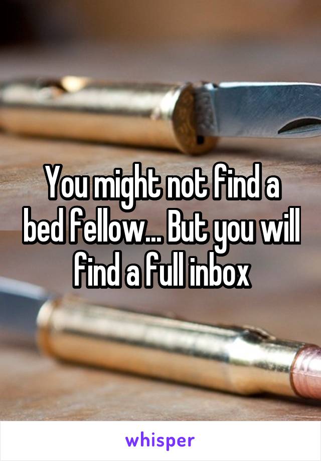 You might not find a bed fellow... But you will find a full inbox