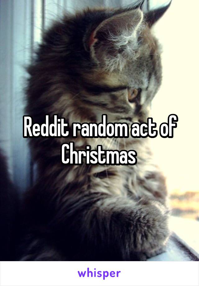 Reddit random act of Christmas 