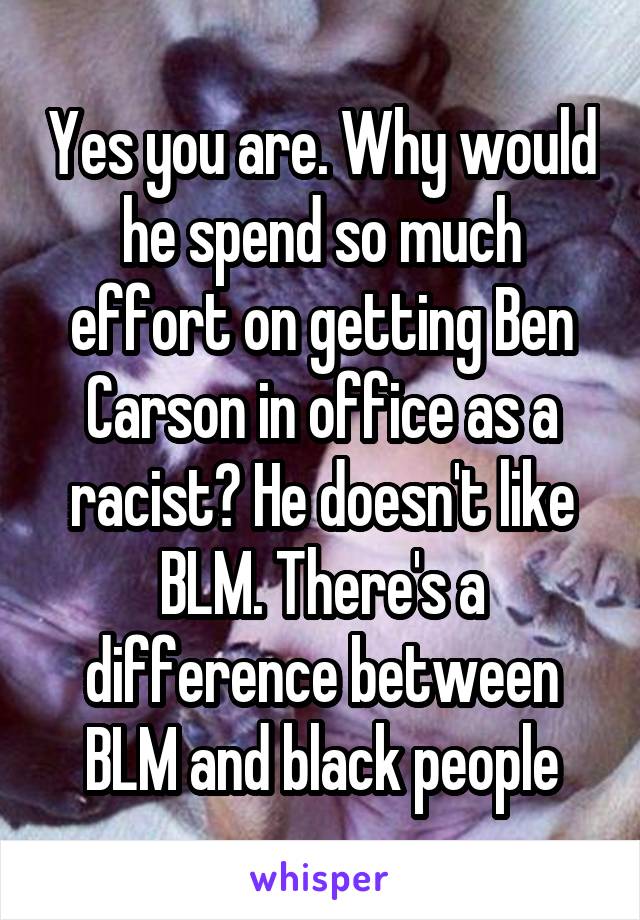 Yes you are. Why would he spend so much effort on getting Ben Carson in office as a racist? He doesn't like BLM. There's a difference between BLM and black people