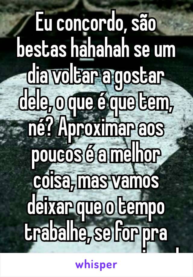 Eu concordo, são bestas hahahah se um dia voltar a gostar dele, o que é que tem, né? Aproximar aos poucos é a melhor coisa, mas vamos deixar que o tempo trabalhe, se for pra ser, vou me aproximar!