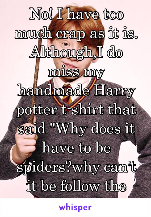 No! I have too much crap as it is.
Although,I do miss my handmade Harry potter t-shirt that said "Why does it have to be spiders?why can't it be follow the butterflies?"