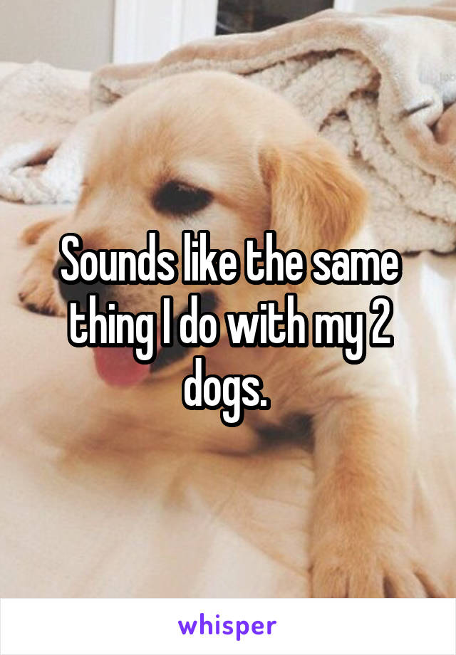 Sounds like the same thing I do with my 2 dogs. 