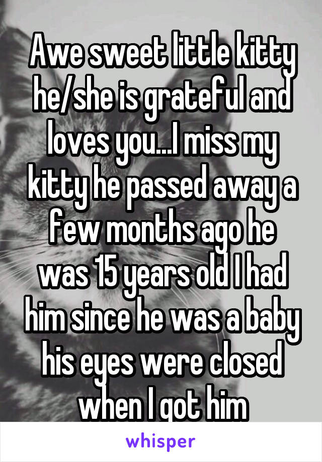 Awe sweet little kitty he/she is grateful and loves you...I miss my kitty he passed away a few months ago he was 15 years old I had him since he was a baby his eyes were closed when I got him