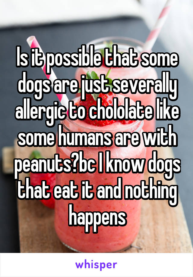 Is it possible that some dogs are just severally allergic to chololate like some humans are with peanuts?bc I know dogs that eat it and nothing happens