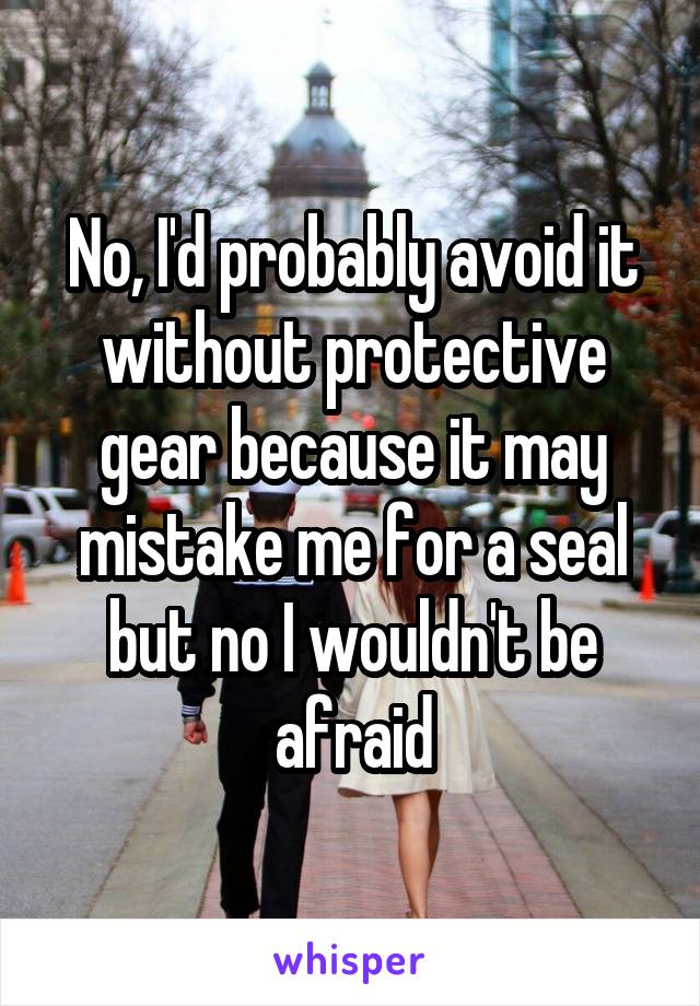 No, I'd probably avoid it without protective gear because it may mistake me for a seal but no I wouldn't be afraid