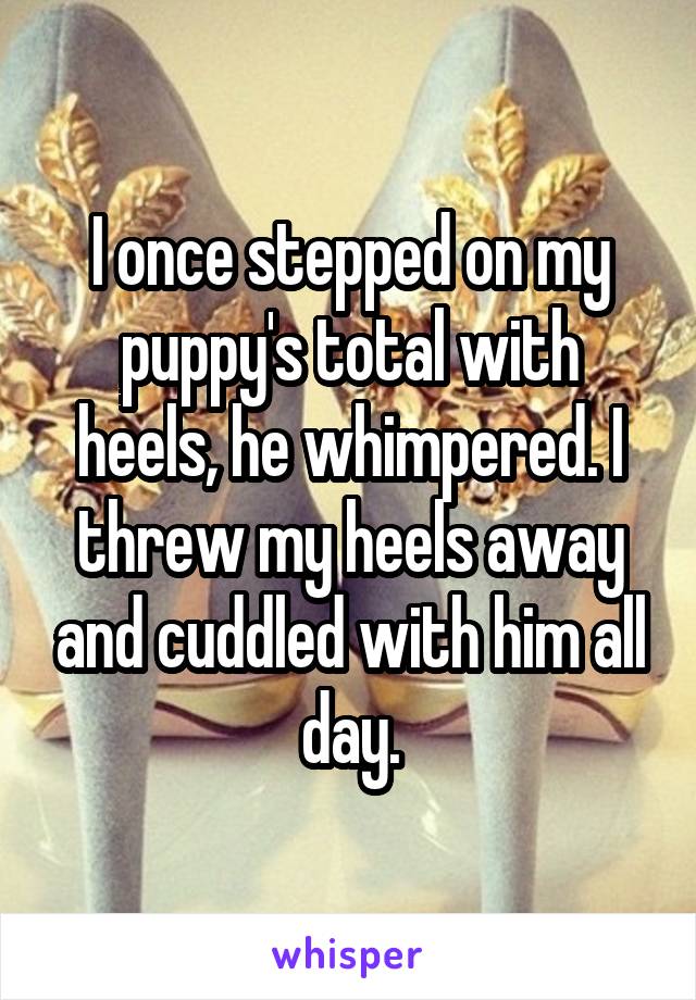 I once stepped on my puppy's total with heels, he whimpered. I threw my heels away and cuddled with him all day.