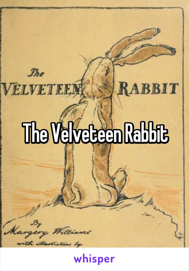 The Velveteen Rabbit