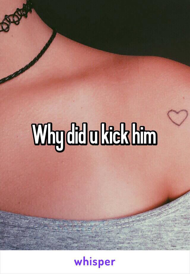 Why did u kick him 