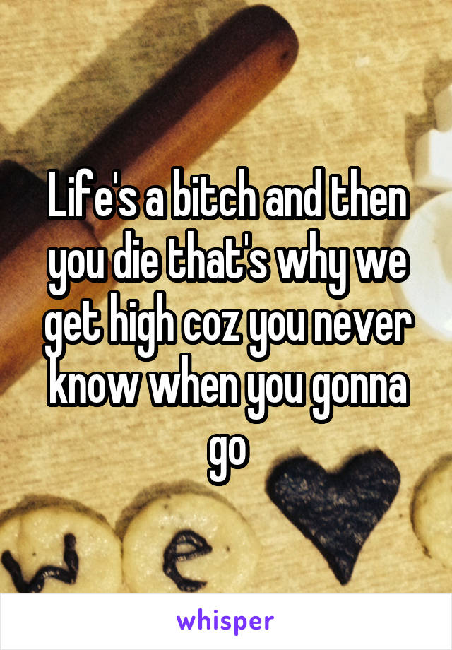 Life's a bitch and then you die that's why we get high coz you never know when you gonna go