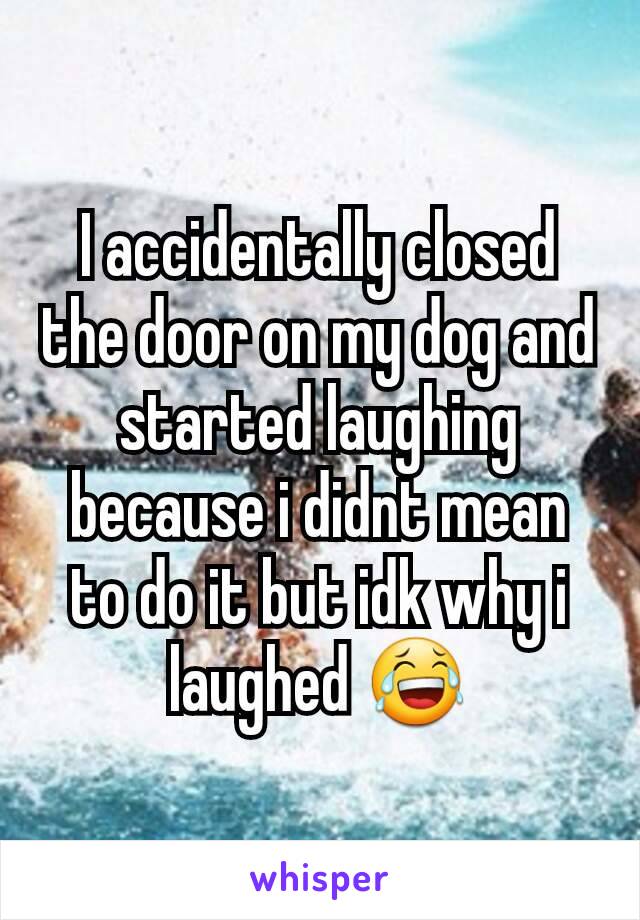 I accidentally closed the door on my dog and started laughing because i didnt mean to do it but idk why i laughed 😂