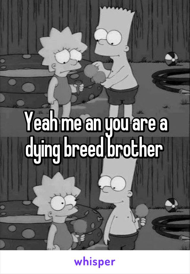 Yeah me an you are a dying breed brother 