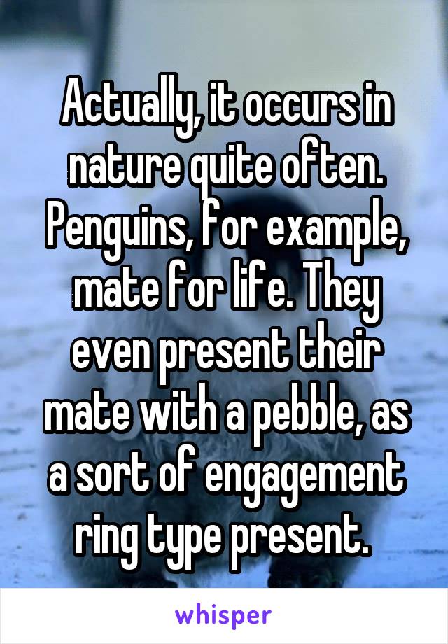 Actually, it occurs in nature quite often. Penguins, for example, mate for life. They even present their mate with a pebble, as a sort of engagement ring type present. 