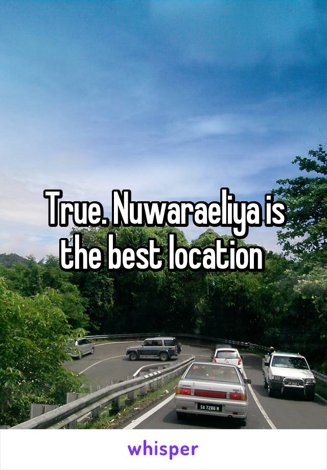 True. Nuwaraeliya is the best location 