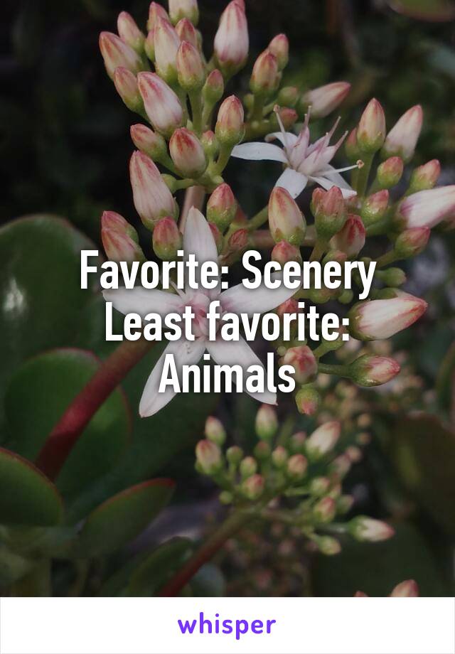 Favorite: Scenery
Least favorite: Animals