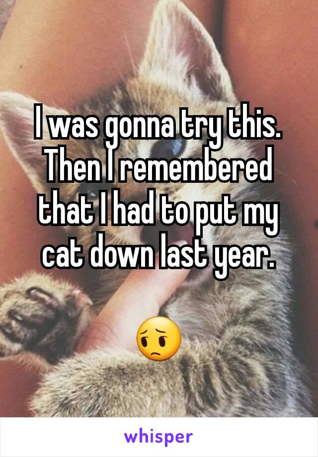 I was gonna try this. Then I remembered that I had to put my cat down last year.

😔