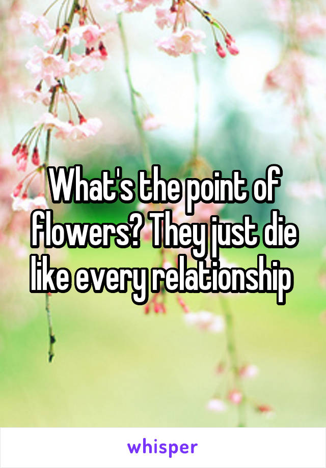 What's the point of flowers? They just die like every relationship 