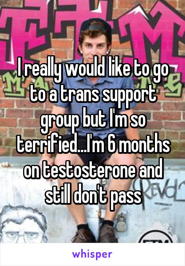 I really would like to go to a trans support group but I'm so terrified...I'm 6 months on testosterone and still don't pass