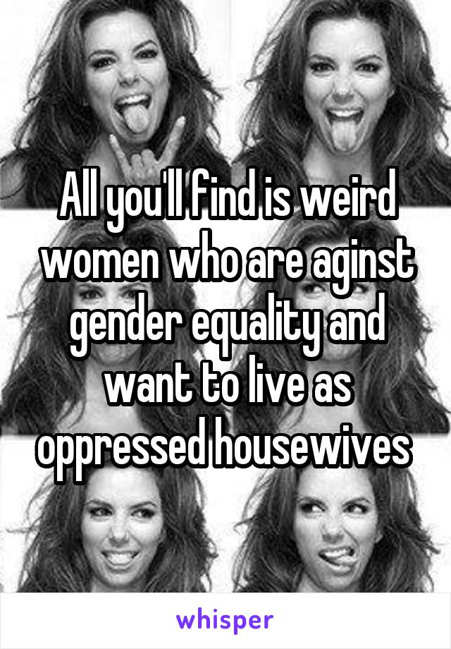 All you'll find is weird women who are aginst gender equality and want to live as oppressed housewives 