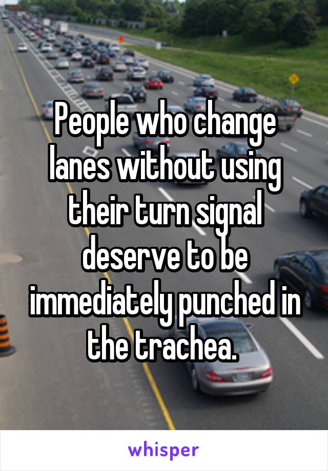 People who change lanes without using their turn signal deserve to be immediately punched in the trachea. 