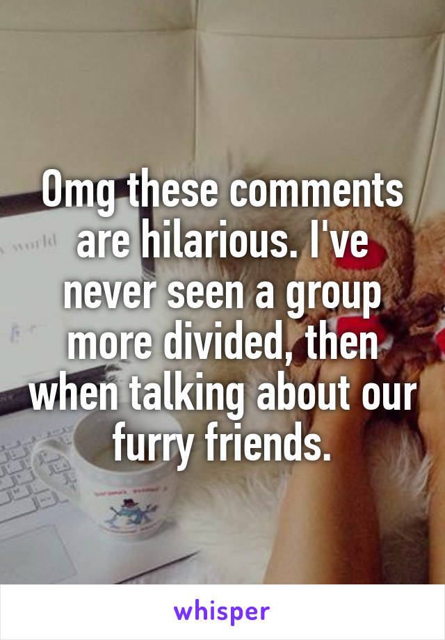 Omg these comments are hilarious. I've never seen a group more divided, then when talking about our furry friends.