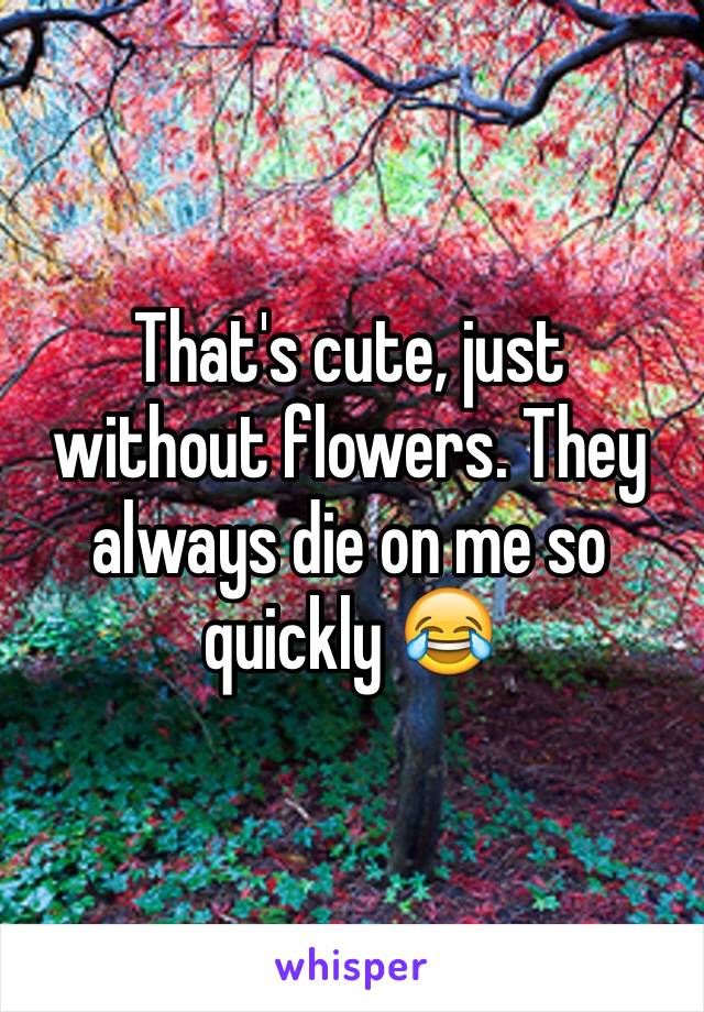 That's cute, just without flowers. They always die on me so quickly 😂