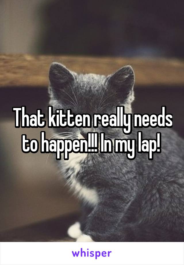 That kitten really needs to happen!!! In my lap! 