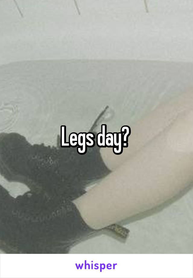 Legs day? 