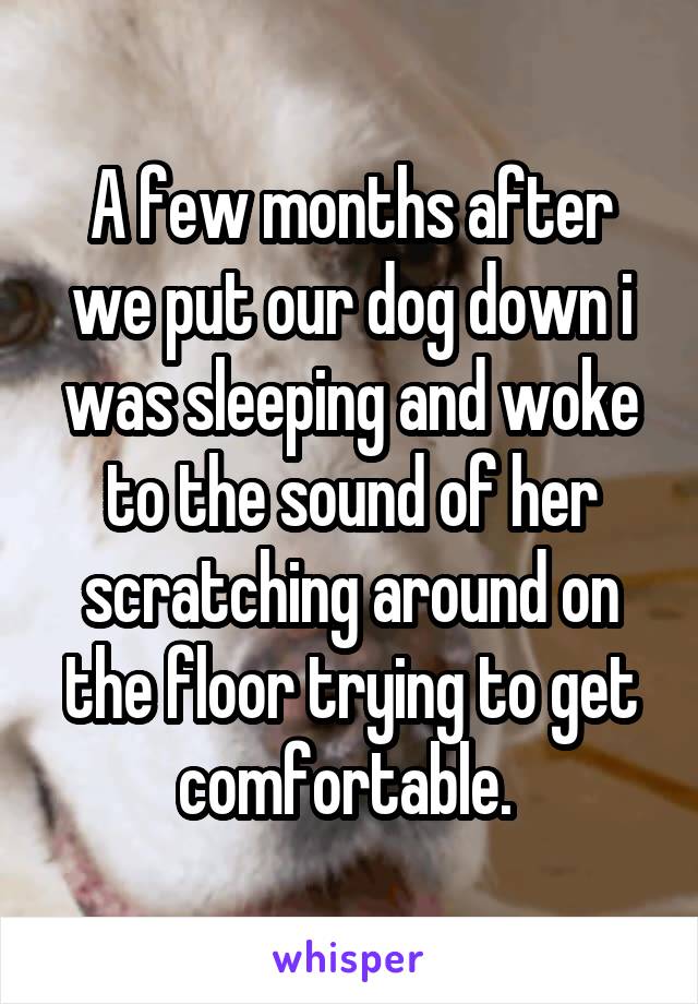 A few months after we put our dog down i was sleeping and woke to the sound of her scratching around on the floor trying to get comfortable. 