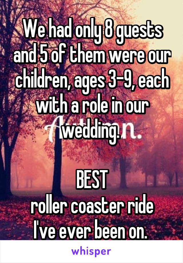 We had only 8 guests and 5 of them were our children, ages 3-9, each with a role in our wedding. 

BEST
roller coaster ride
I've ever been on. 