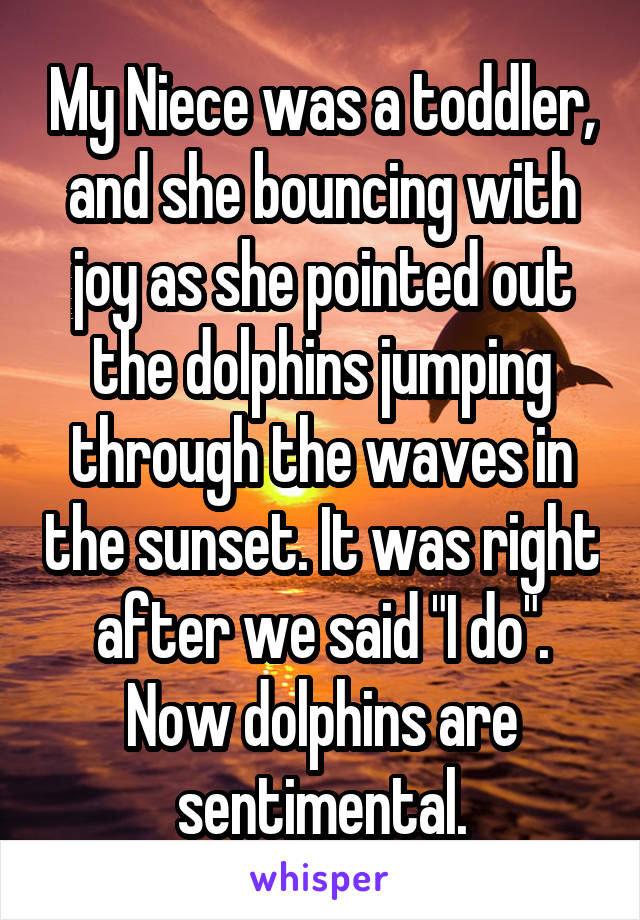 My Niece was a toddler, and she bouncing with joy as she pointed out the dolphins jumping through the waves in the sunset. It was right after we said "I do". Now dolphins are sentimental.