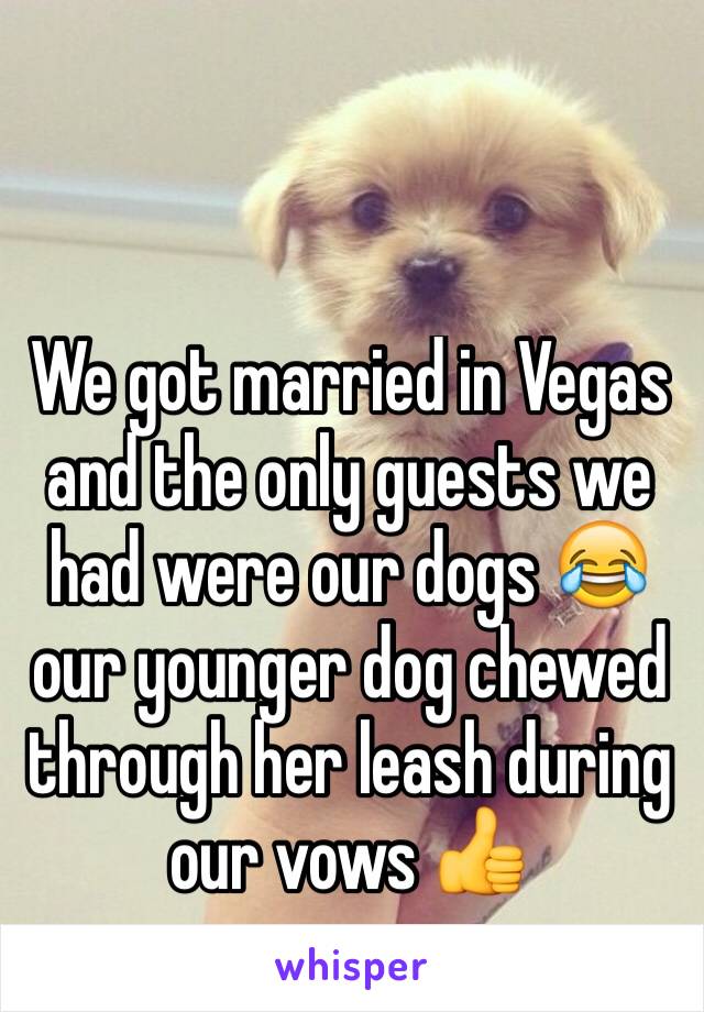 We got married in Vegas and the only guests we had were our dogs 😂 our younger dog chewed through her leash during our vows 👍