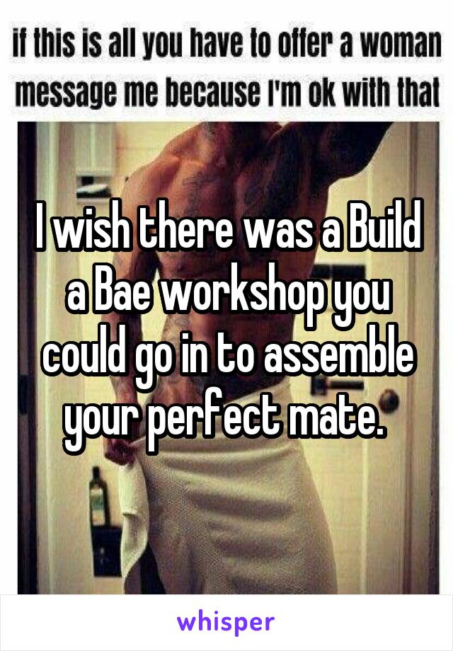 I wish there was a Build a Bae workshop you could go in to assemble your perfect mate. 