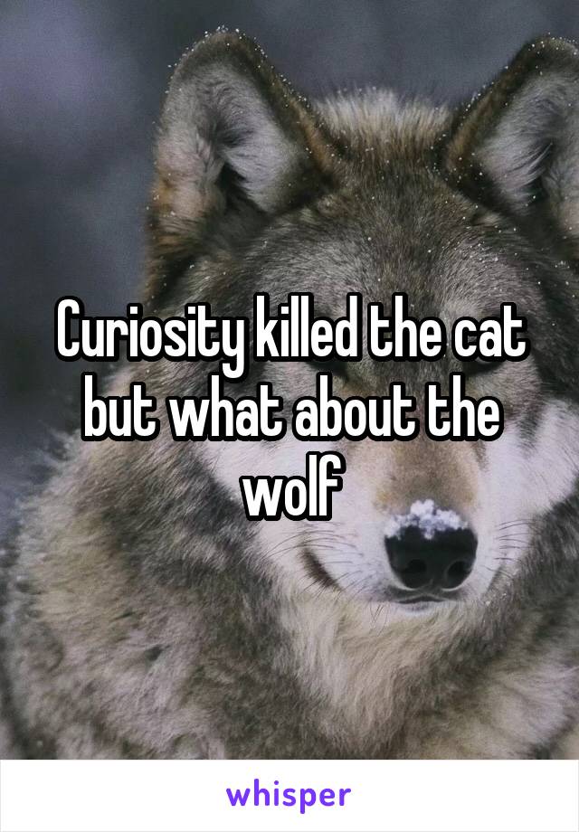 Curiosity killed the cat but what about the wolf