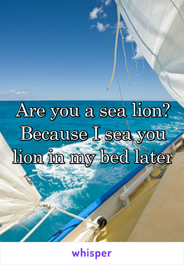 Are you a sea lion? Because I sea you lion in my bed later