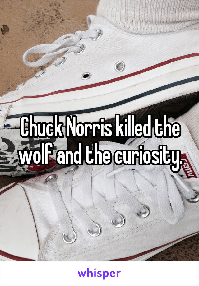 Chuck Norris killed the wolf and the curiosity.