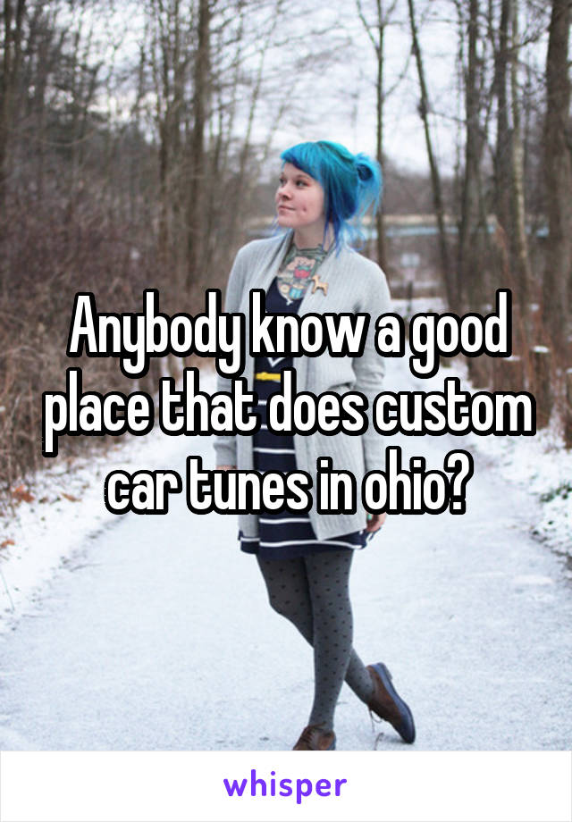Anybody know a good place that does custom car tunes in ohio?