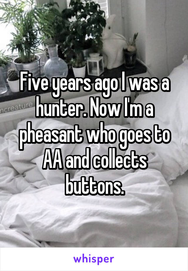 Five years ago I was a hunter. Now I'm a pheasant who goes to AA and collects buttons.