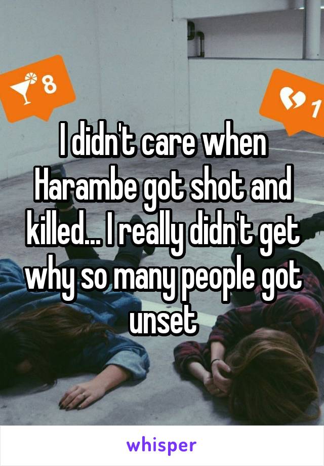 I didn't care when Harambe got shot and killed... I really didn't get why so many people got unset