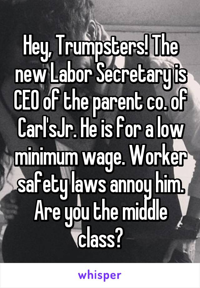 Hey, Trumpsters! The new Labor Secretary is CEO of the parent co. of Carl'sJr. He is for a low minimum wage. Worker safety laws annoy him. Are you the middle class?