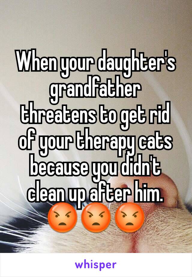 When your daughter's grandfather threatens to get rid of your therapy cats because you didn't clean up after him. 😡😡😡