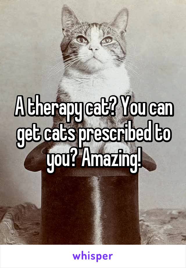 A therapy cat? You can get cats prescribed to you? Amazing!