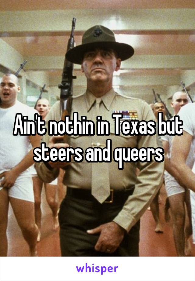 Ain't nothin in Texas but steers and queers