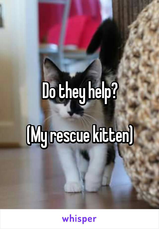 Do they help?

(My rescue kitten)