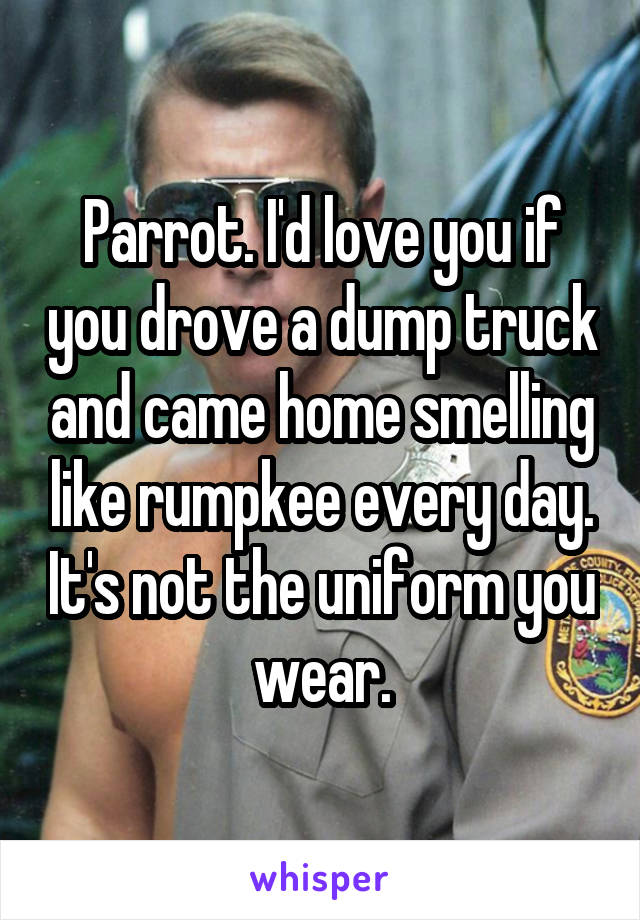 Parrot. I'd love you if you drove a dump truck and came home smelling like rumpkee every day. It's not the uniform you wear.