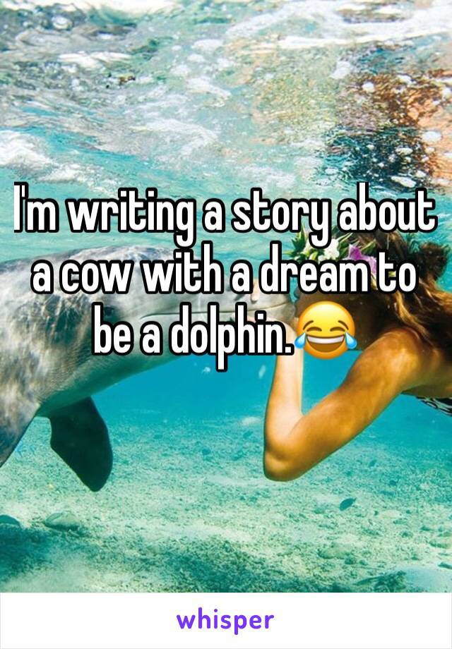 I'm writing a story about a cow with a dream to be a dolphin.😂