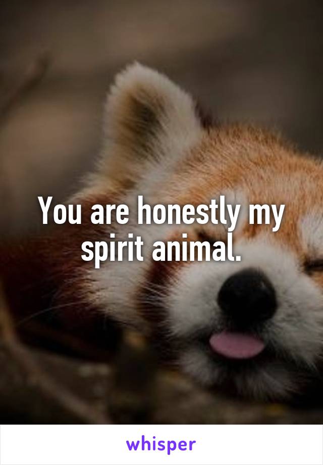 You are honestly my spirit animal.